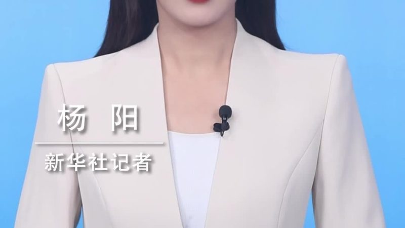 北京软件定制开发公司排名：揭秘定制化软件开发的关键要素**